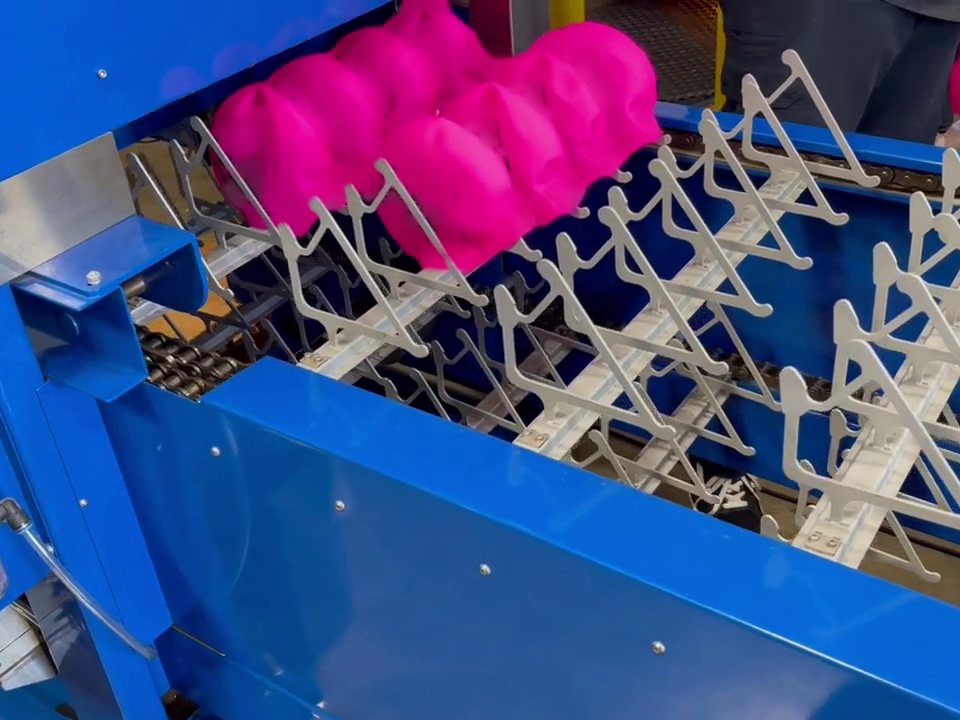 Secador vertical ASPE para curar gorras de natación de silicón, con gorras cargadas en los colgadores